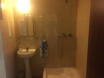 Фото номера Двухместный номер с 1 кроватью Гостевой дом Casa Albert Valea Avrigului г. Авриг 5