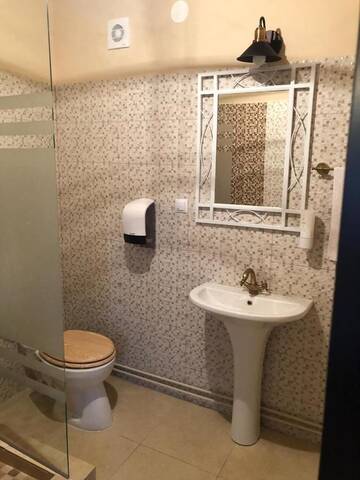 Фото номера Номер с кроватью размера «king-size» Гостевой дом Casa Albert Valea Avrigului г. Авриг 29