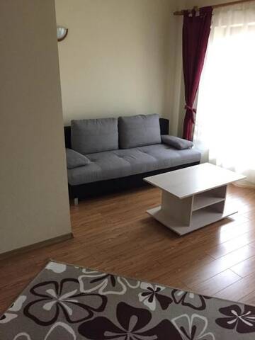 Фото номера Апартаменты с 1 спальней Гостевой дом Casa Florea г. Авриг 6